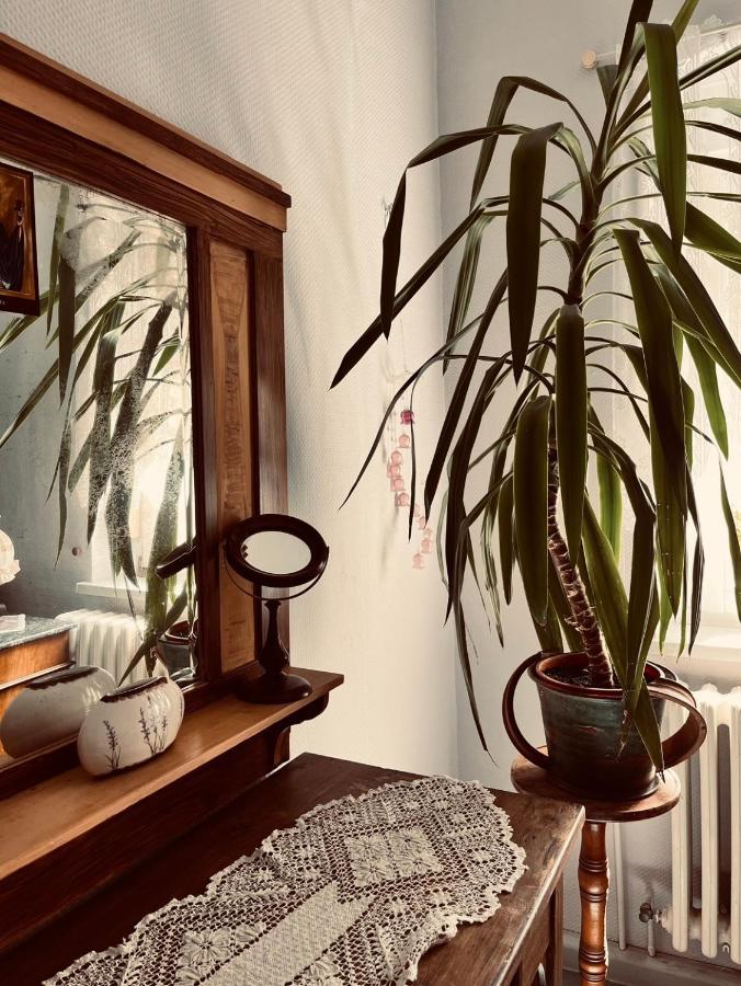Ferienwohnung Geister Naumburg  Zewnętrze zdjęcie