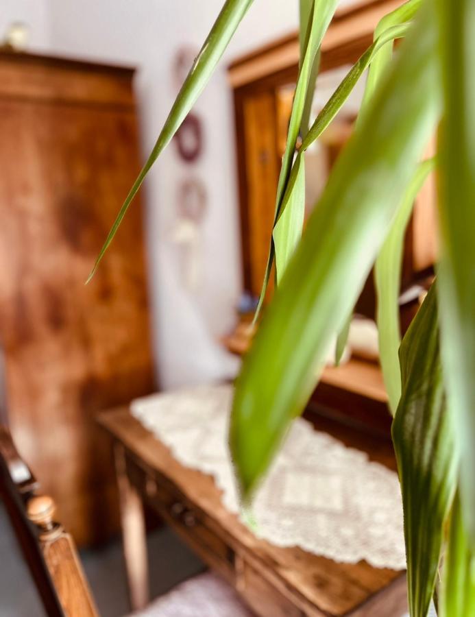Ferienwohnung Geister Naumburg  Zewnętrze zdjęcie
